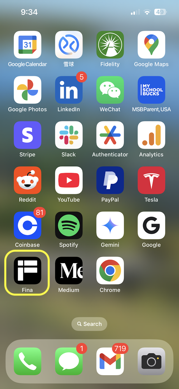Fina on iPhone